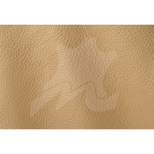 Aligo Group фото